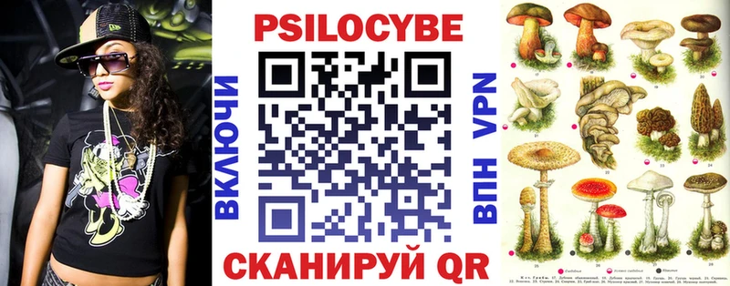 Галлюциногенные грибы Cubensis Черкесск